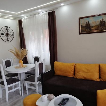 Appartement Apartman Zi-Zo à Vrsac Extérieur photo