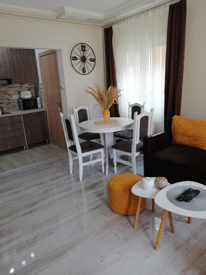 Appartement Apartman Zi-Zo à Vrsac Extérieur photo