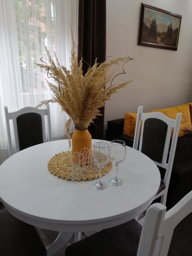 Appartement Apartman Zi-Zo à Vrsac Extérieur photo