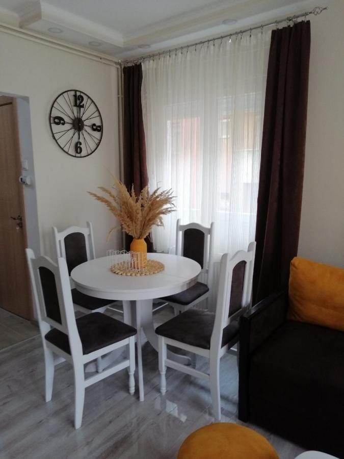 Appartement Apartman Zi-Zo à Vrsac Extérieur photo