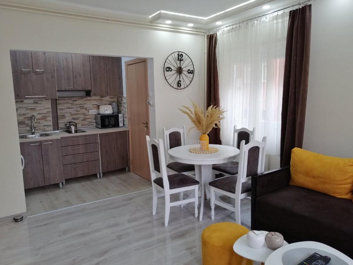 Appartement Apartman Zi-Zo à Vrsac Extérieur photo