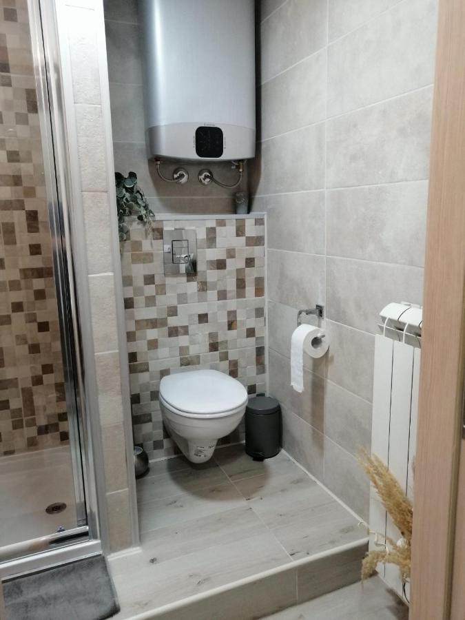 Appartement Apartman Zi-Zo à Vrsac Extérieur photo